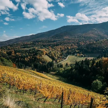 Pri Gondoli מריבור