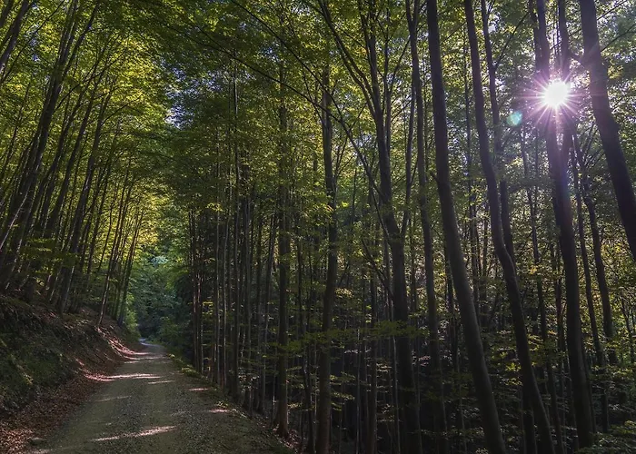 Pri Gondoli krevet i doručak 3*